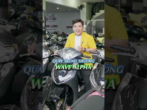 Những mẫu xe về quê ăn Tết cực kỳ hợp lý #minhlongmotor