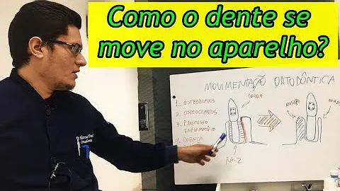 Quais são os movimentos da mandíbula?