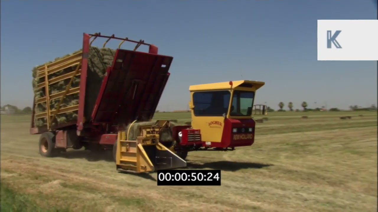 2000s US Farming and Machinery, Cattle