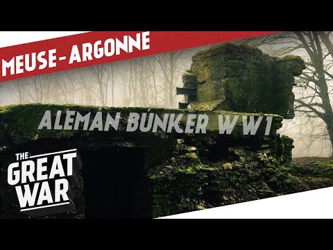 Video: Cementerio militar estadounidense Meuse-Argonne de la Primera Guerra Mundial