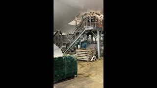 Kale Weighing & Bagging Line