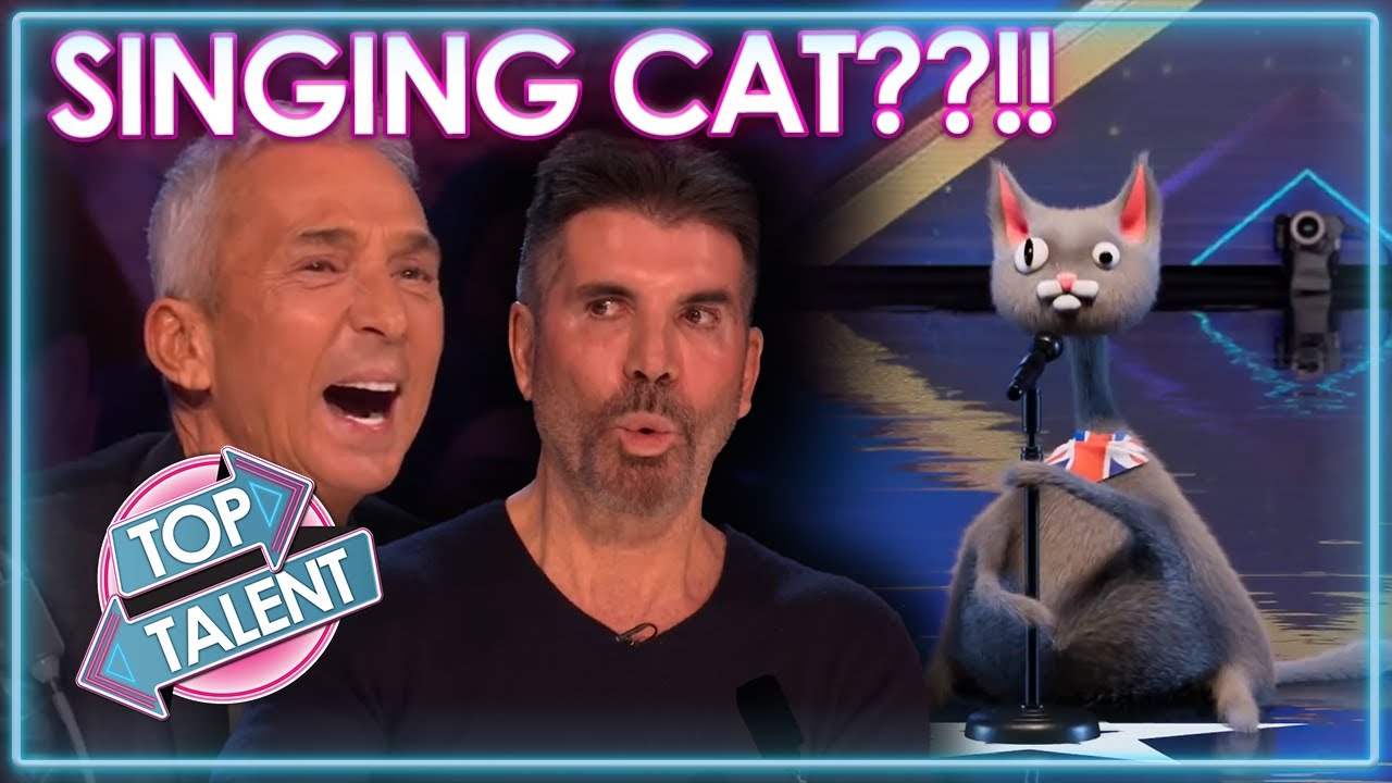 Singing CAT Auditions For Britain's Got Talent 2023 And Leaves Everyone