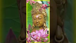 Download Lagu Namo Kwan Se Im Po Sat MP3 Download Lagu Namo Kwan Se Im Po Sat MP3
