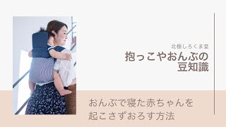 特集 抱っこひもを使った寝かしつけのコツ 北極しろくま堂 特集 抱っこひもを使った寝かしつけのコツ 北極しろくま堂