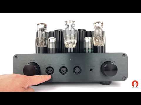 4本白箱新品 プスバン PSVANE 300B 真空管 マッチドクワッド 黒