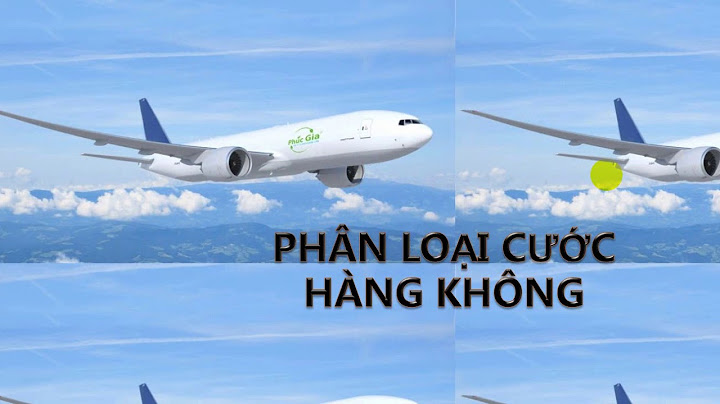 Phí vận chuyển hàng hóa bằng máy bay