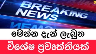 ?Breaking News | මේ දැන් ලැබුනු විශේෂ උණුසුම් ප්‍රවෘත්තියක් | Lanka News 24 | Sirasa Tv Live