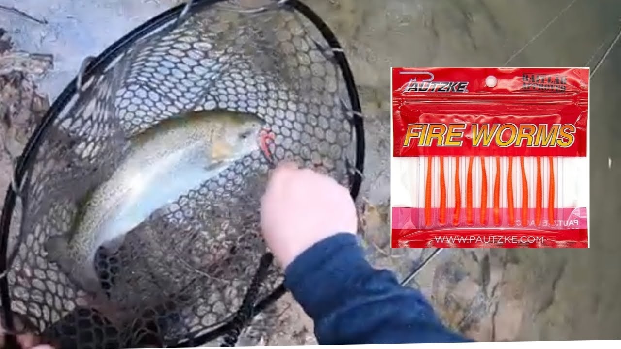 Trout Fishing Super Clear Water | In The Rain | Pautzke Fire Worms