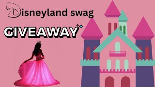 We shopped at Disneyland for YOU! Details for swag giveaway!