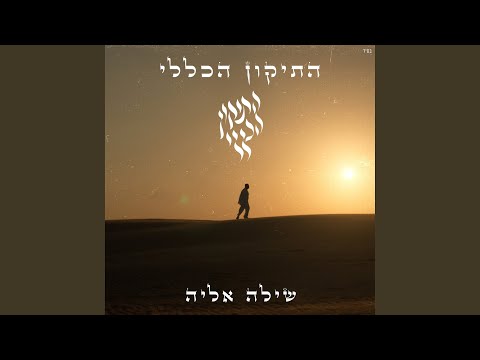 התיקון הכללי 