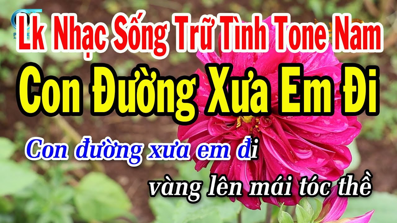 Karaoke Liên Khúc Trữ Tình Bolero Tone Nam || Con Đường Xưa Em Đi || Đường Tím Bằng Lăng