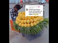 Sababta Ay Soomaalida Yurub Dagan Ay U Imaadaan India рџ рџ і Qaliiji Sababta Ay Soomaalida Yurub Dagan Ay U Imaadaan India рџ рџ і Qaliiji