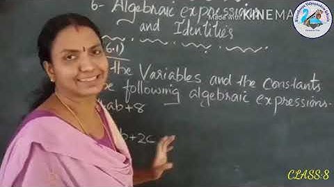 Macmillan CPA Class:8 Algebraic expressions Part