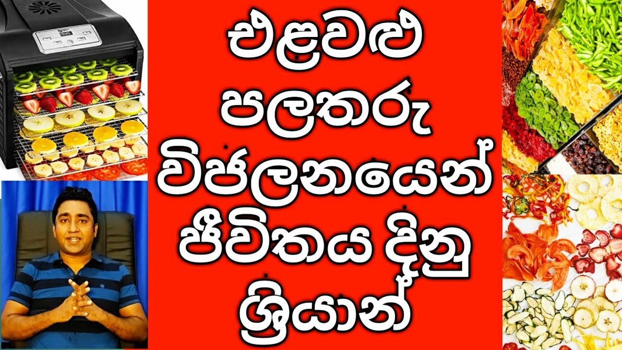 Experience of Successful Fruits and Vegetable food Dehydration