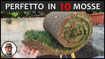 Quanto costa al mq il prato a rotoli?
