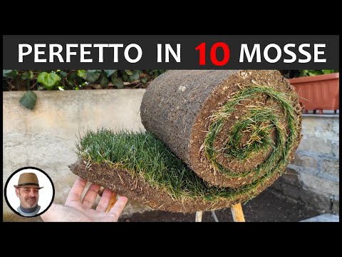 Video: Cosa fare con il nuovo tappeto erboso?