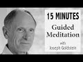 15 minute guided meditation with joseph goldstein