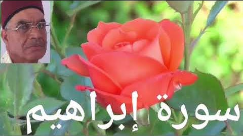 وتمتع يا حليم🏕واسمع سورة إبراهيم🏕الشيخ ممدوح على عبد الظاهر