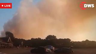 LIVE: UK Fire Emergency As Dunwich Heath Blaze Triggers Mass Evacuations | DWS News | AL14