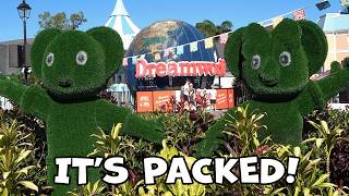 Dreamworld is very busy and this is good