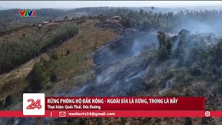 Rừng phòng hộ Đắk Nông - Ngoài bìa là rừng, trong là rẫy | VTV24