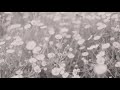 Kelsea Ballerini - love me like a girl (ballerini album version) [Official Lyric Video]