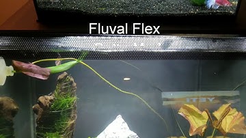 Fluval Flex Betta Mod