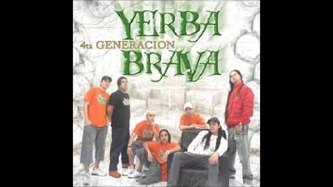 Yerba Brava   Parecés sincera