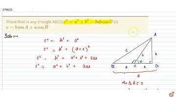 Prove that in any triangle ABC(i) `c^2 = a^2 + b^2-2ab cos C` (ii) `c=bcosA+acosB`