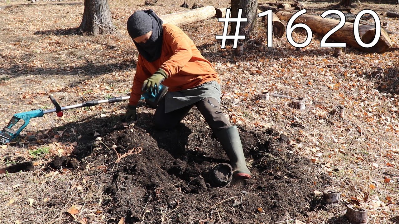 30分で10本抜き達成？！電動耕運機が枯れ竹株抜きに相性抜群だったよ｜どんどん伐根して畑を広げよう