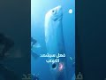 ظهور سمكة "يوم القيامة"... هل نحن امام كارثة جديدة؟