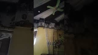 Download Lagu 27 Januari 2026 MP3