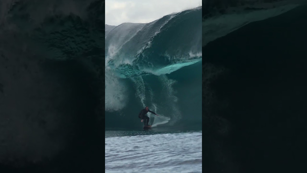 ::: In case you missed Tingle - here's your reminder!