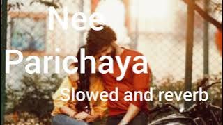 Nee Parichaya helade | Slowed and Reverb | Ninna Sanihake | Toons reverb