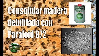 Consolidate and restore spoiled or decayed wood with paraloid