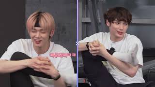 Txt X Yoga X Những Tiếng Thét Xuyên Màn Đêm