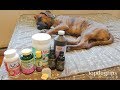 10 Essential Home Remedies for Dogs to Have at Home