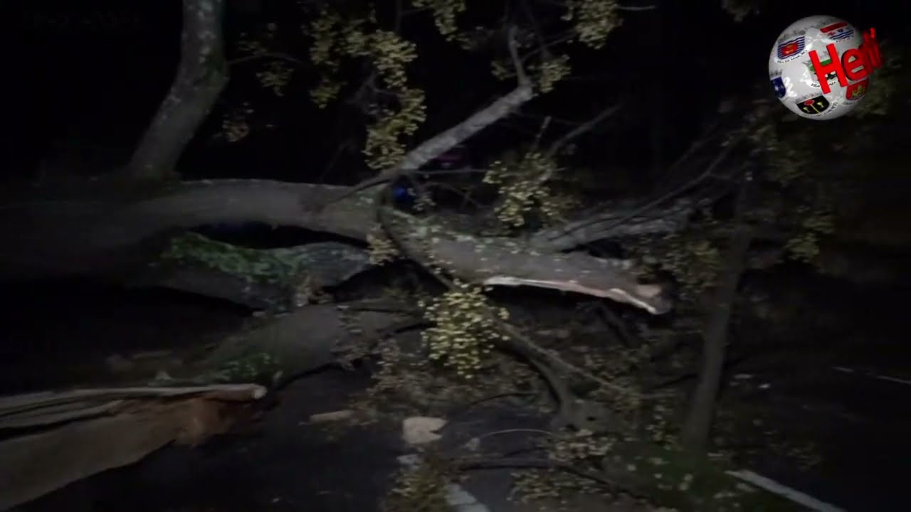 TOMAR – Hertz em reportagem nos primeiros instantes após a passagem da Tempestade Kristin…