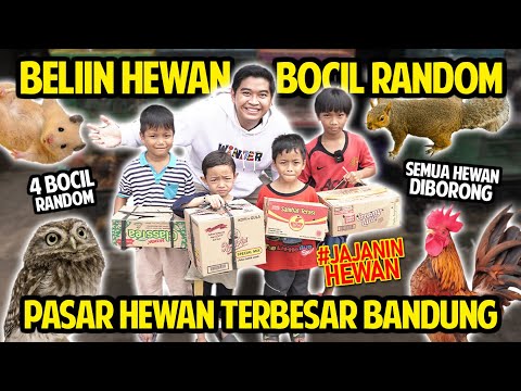 BELIIN HEWAN 4 BOCIL RANDOM KE PASAR HEWAN SUKAHAJI TERBESAR DI BANDUNG! ANEH-ANEH! #JAJANINHEWAN!