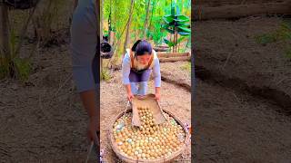 Earn Lakhs Through Egg Farming! #shorts