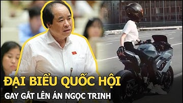 Đại biểu Quốc hội gay gắt lên án Ngọc Trinh: Khởi tố, bắt tạm giam là hoàn toàn cần thiết, không oan