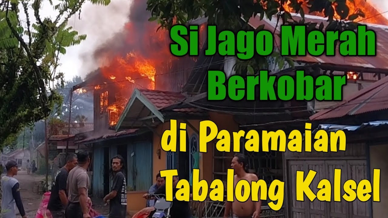 Api Berkobar Api Berkobar di Paramaian, Tabalong, Kalimantan Selatan#tabalonghariini ...
