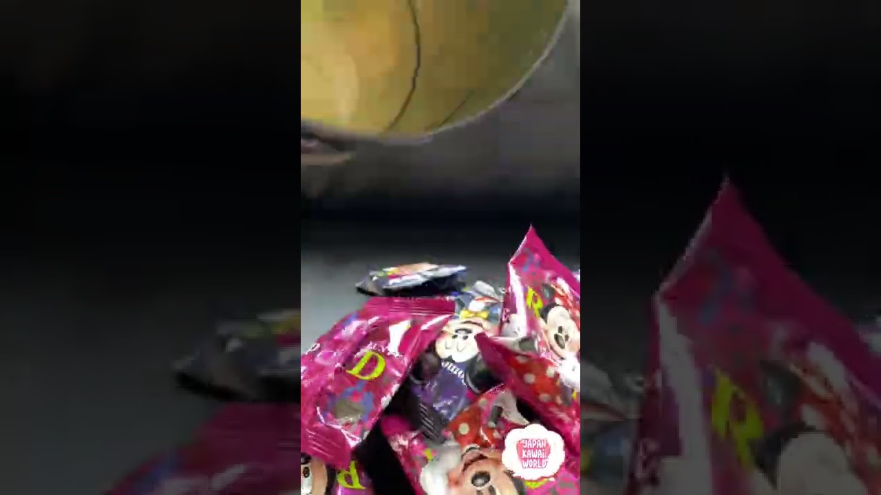 Tokyo Disney Resort Chocolate Covered Cookies | Tokyo Disneyland 