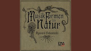 Download Lagu Siphonophoria: II. Pherein MP3