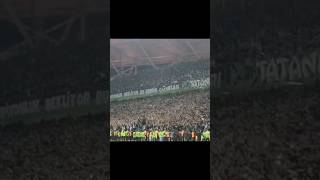 Chatgpt Bile Biliyor