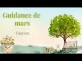 Guidance taureau ♉︎ ~ Mars 2025 🔮🦉🌷