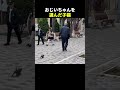 おじいちゃんを選んだ子猫