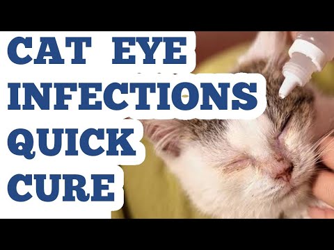 CAT EYE INFECTION CURE HINDI/URDU 