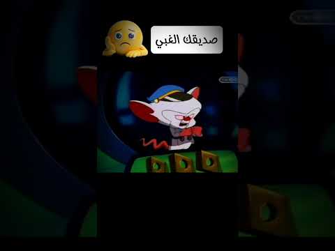 صديقك الغبي كرتون بينكي وبرين مسلسلات كرتون بينكي وبرين
