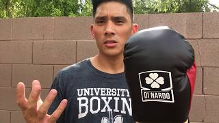 DINARDO Pro Fight Boxing Glove REVIEW